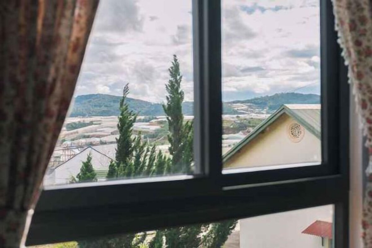 A window with a view of a landscape including trees and distant buildings.