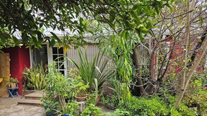 A garden area with various potted plants and a stone pathway.