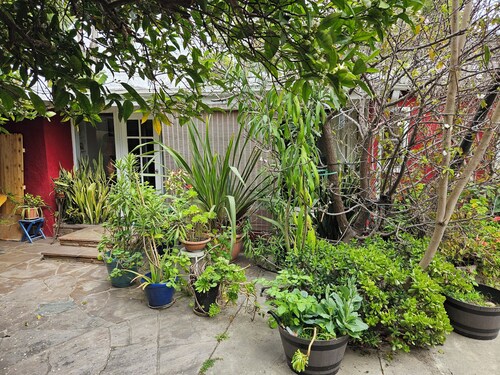 Charming Urban Oasis 3-bedroom cottage in Long Beach