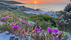 Een kustlandschap met een zonsondergang, rotsachtig terrein en paarse bloemen op de voorgrond.