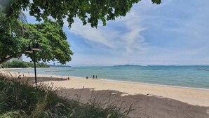 Una playa con vista clara al océano, algunas personas y un árbol en primer plano.