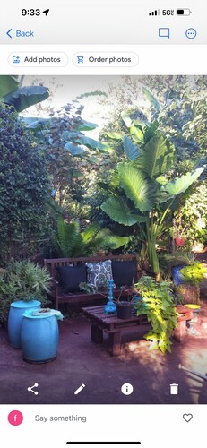 Beautiful basement apartment with Garden