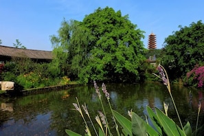 Khuôn viên nơi lưu trú