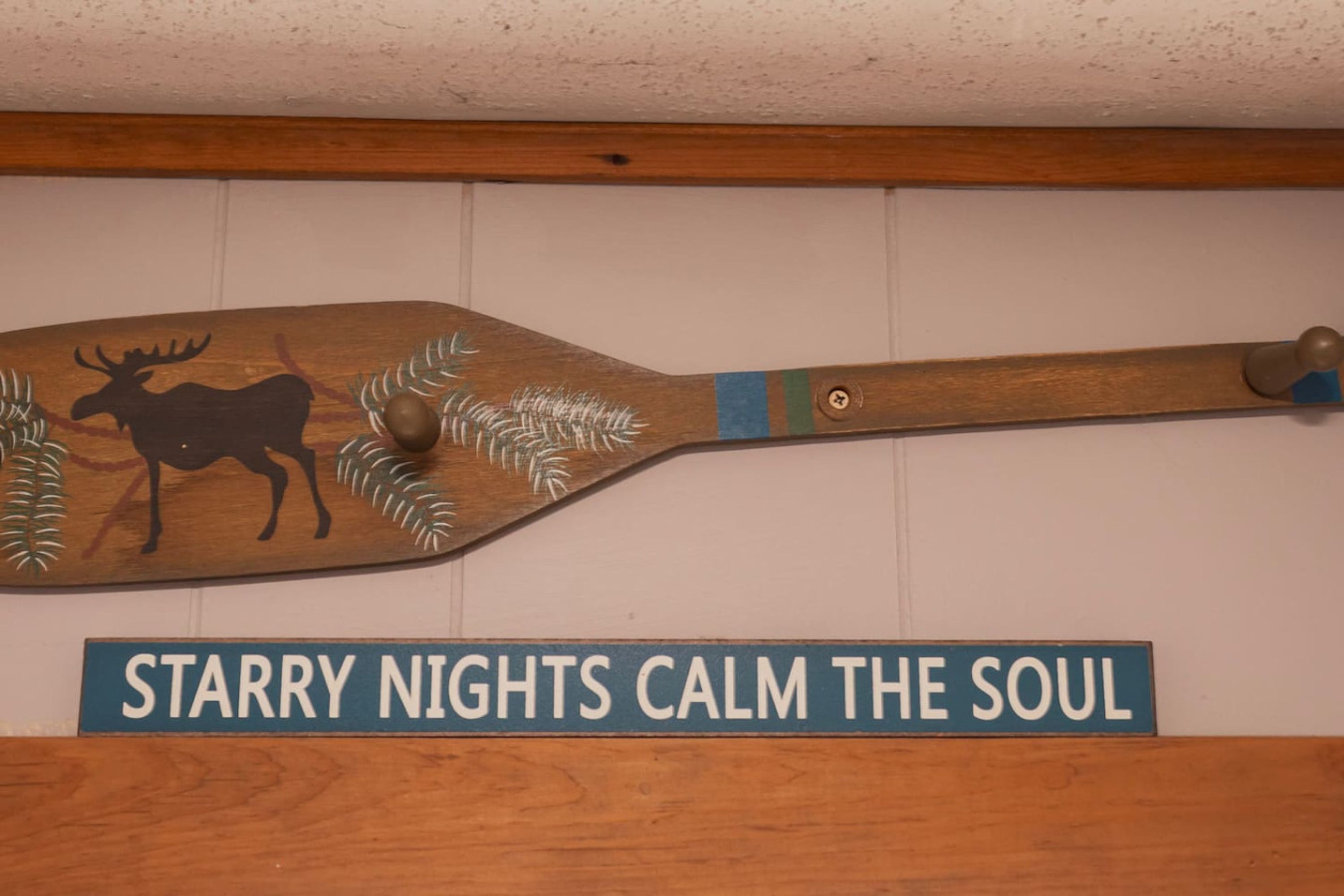 开间 | 1 多间卧室