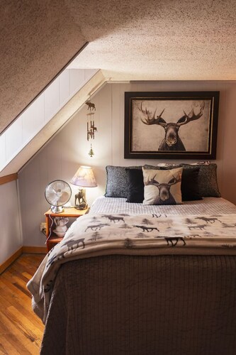 Moose Room Rustic Colorado Lodge Escape