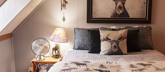 Moose Room Rustic Colorado Lodge Escape