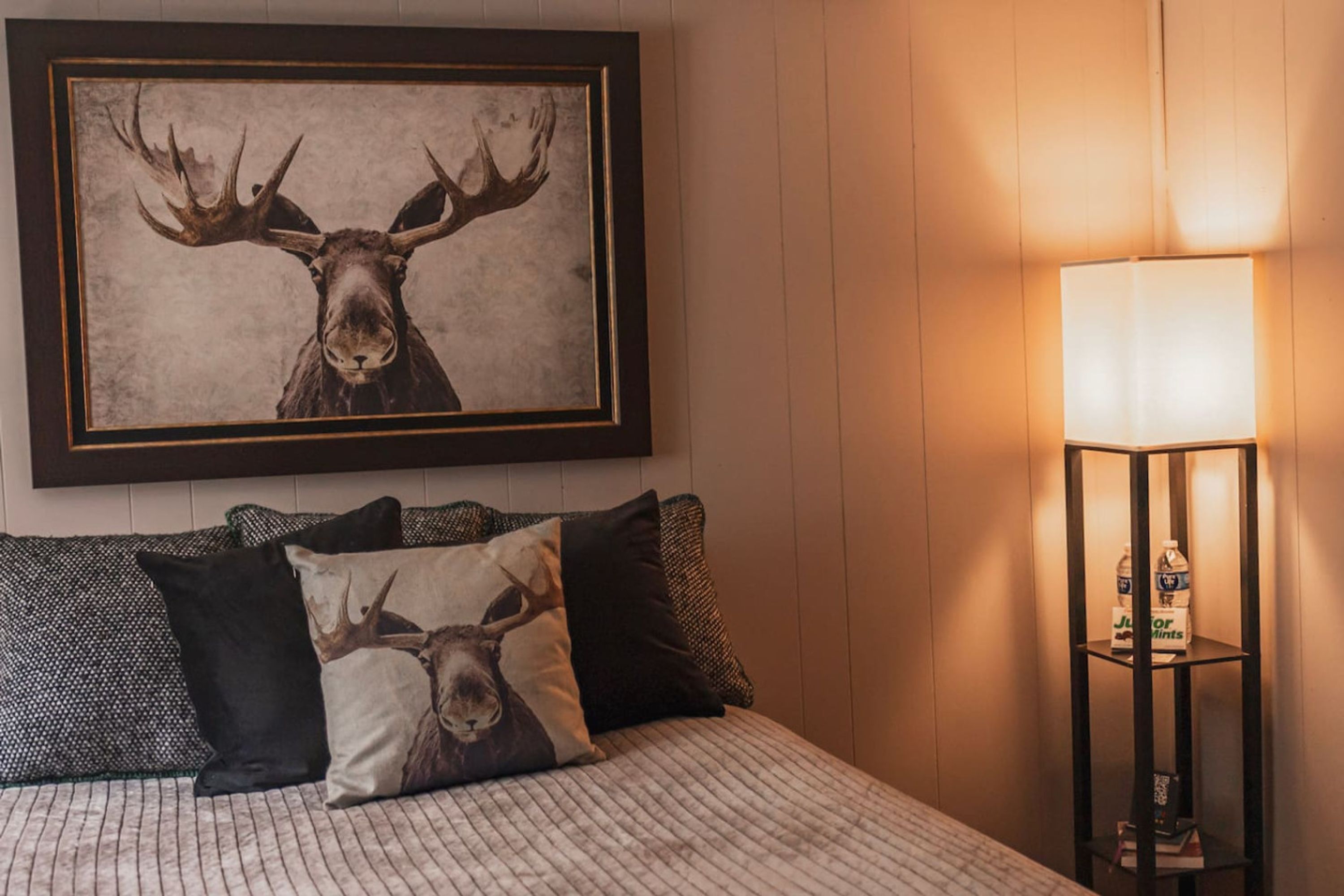 开间 | 1 多间卧室