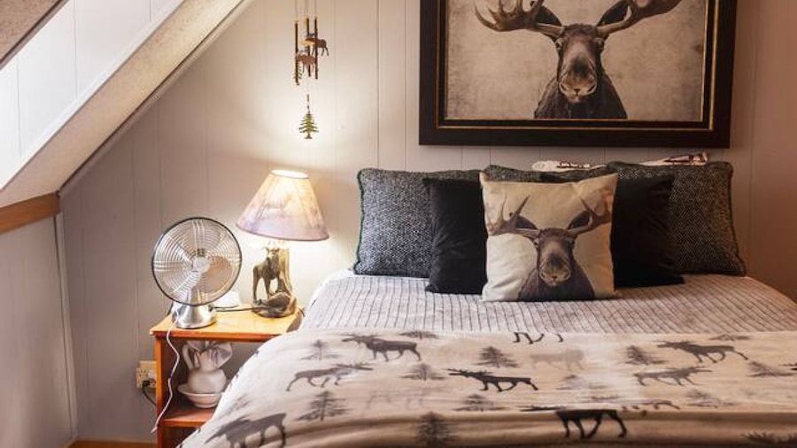 Columbine Roadhouse-4br Mountain Retreat Near Durango