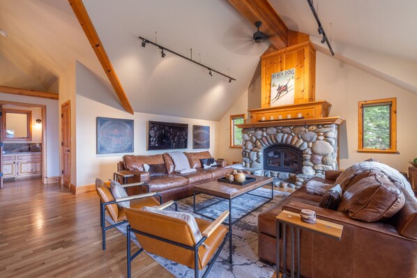 TV, fireplace, books