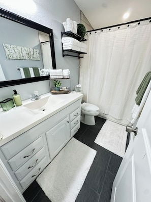 Hair dryer, towels, soap, toilet paper
