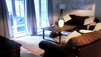 Smart TV, chimenea y libros