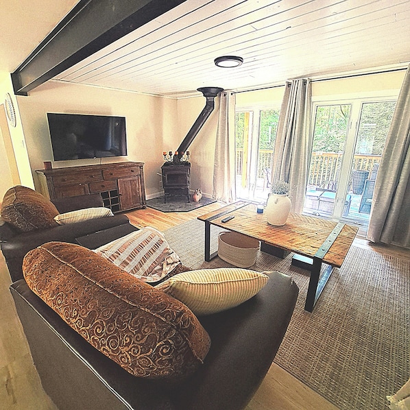 Smart TV, fireplace, books