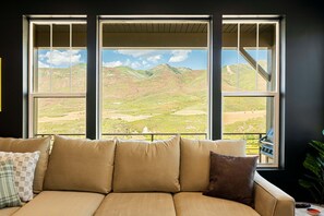 Smart-TV, Kamin