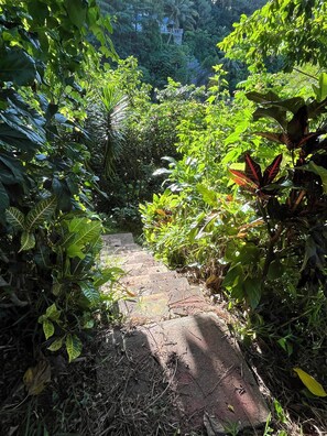 Exterior - Maison en bois (Raiatea)