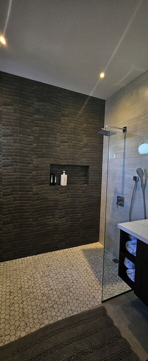 Shower, hair dryer, towels, soap