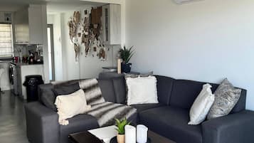 Fernseher, Kamin