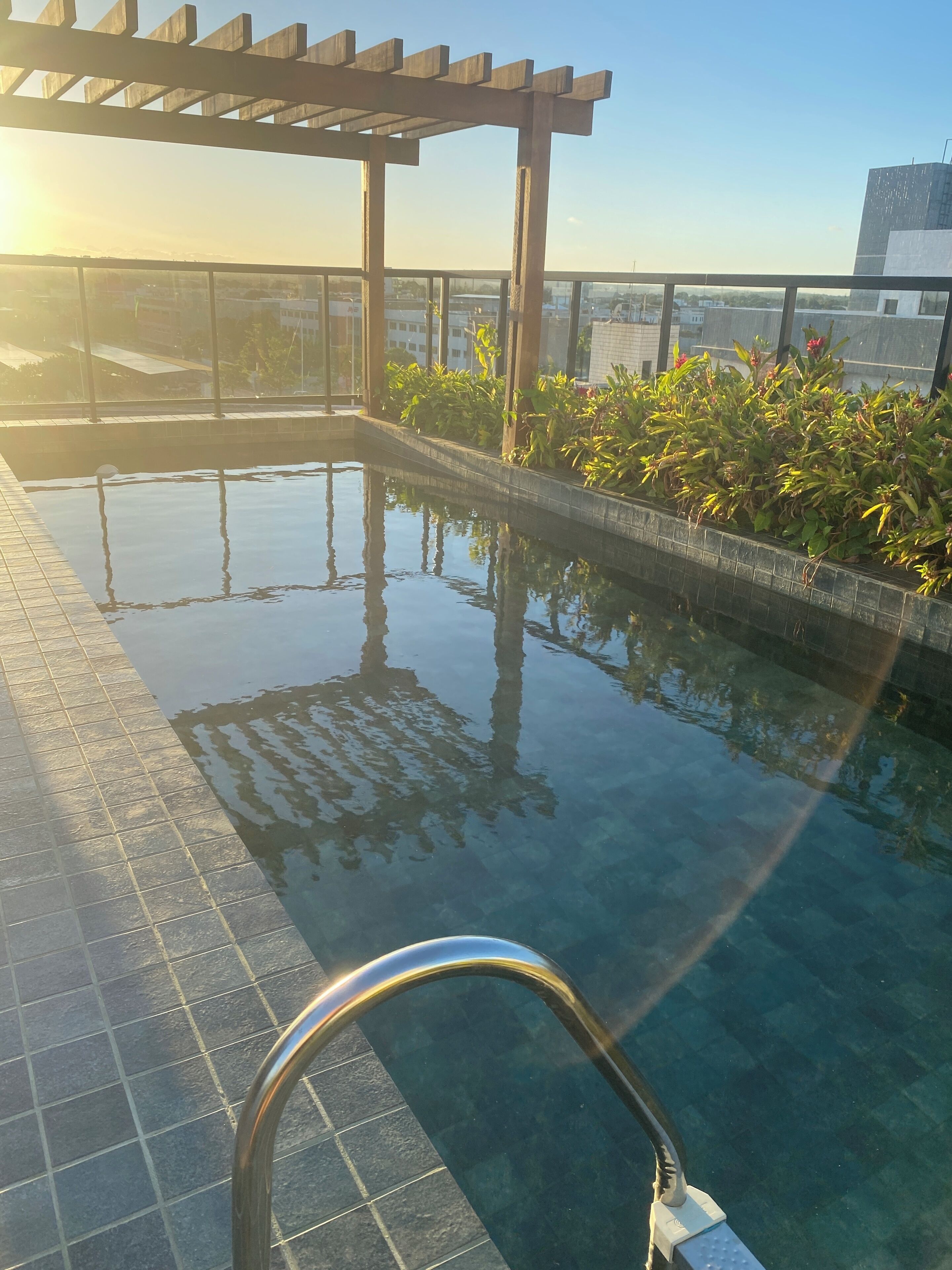 A rooftop pool with clear water, surrounded by plants and a wooden pergola.