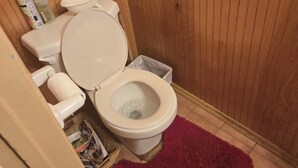 A small bathroom with a wooden panel wall, a white toilet, a red rug, and a trash bin. - no longer here (Suffern)