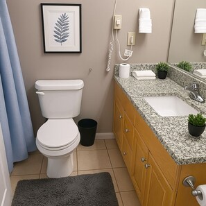 Hair dryer, towels, soap, toilet paper