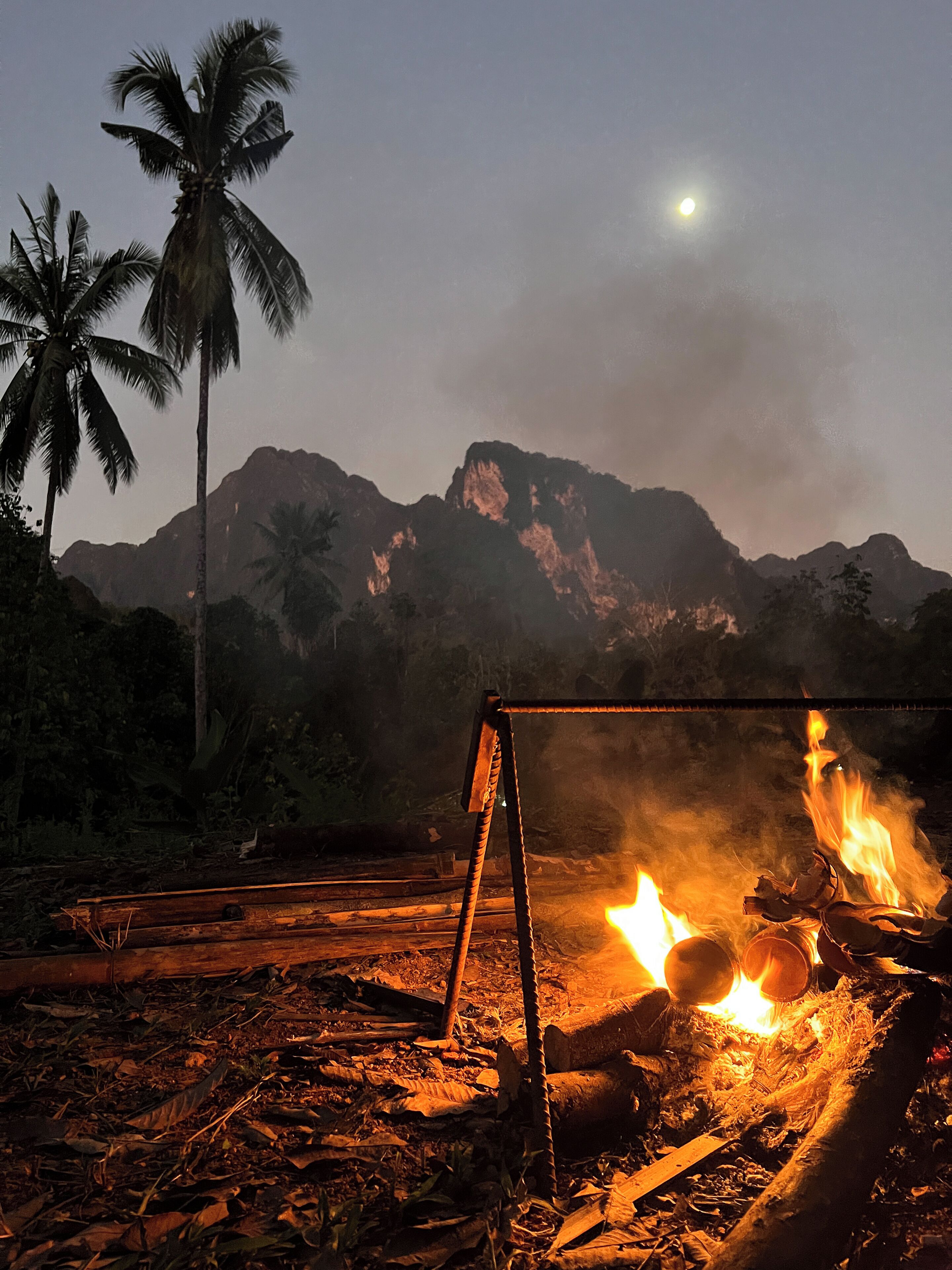 A campfire with logs and a metal frame, surrounded by dry leaves and a palm tree, with mountains in the background and a moon in the sky.
