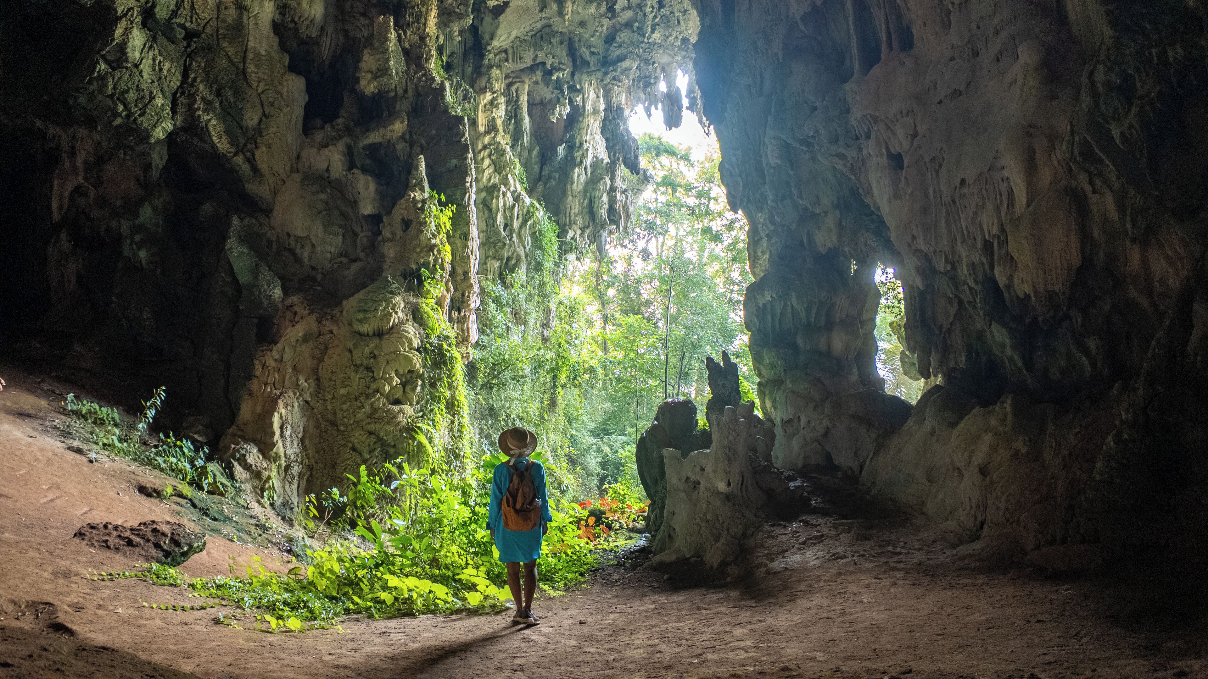A person standing in a cave with rocky walls and greenery.