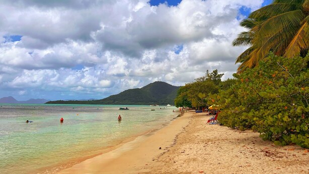 A beach with clear turquoise water, a sandy shore, and a palm tree-lined path.