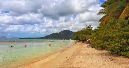 Cosy studio 5 minutes' walk from one of Martinique's most beautiful beaches