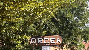 A sign for a wellness center named 'ORCEA' with contact information and services listed.