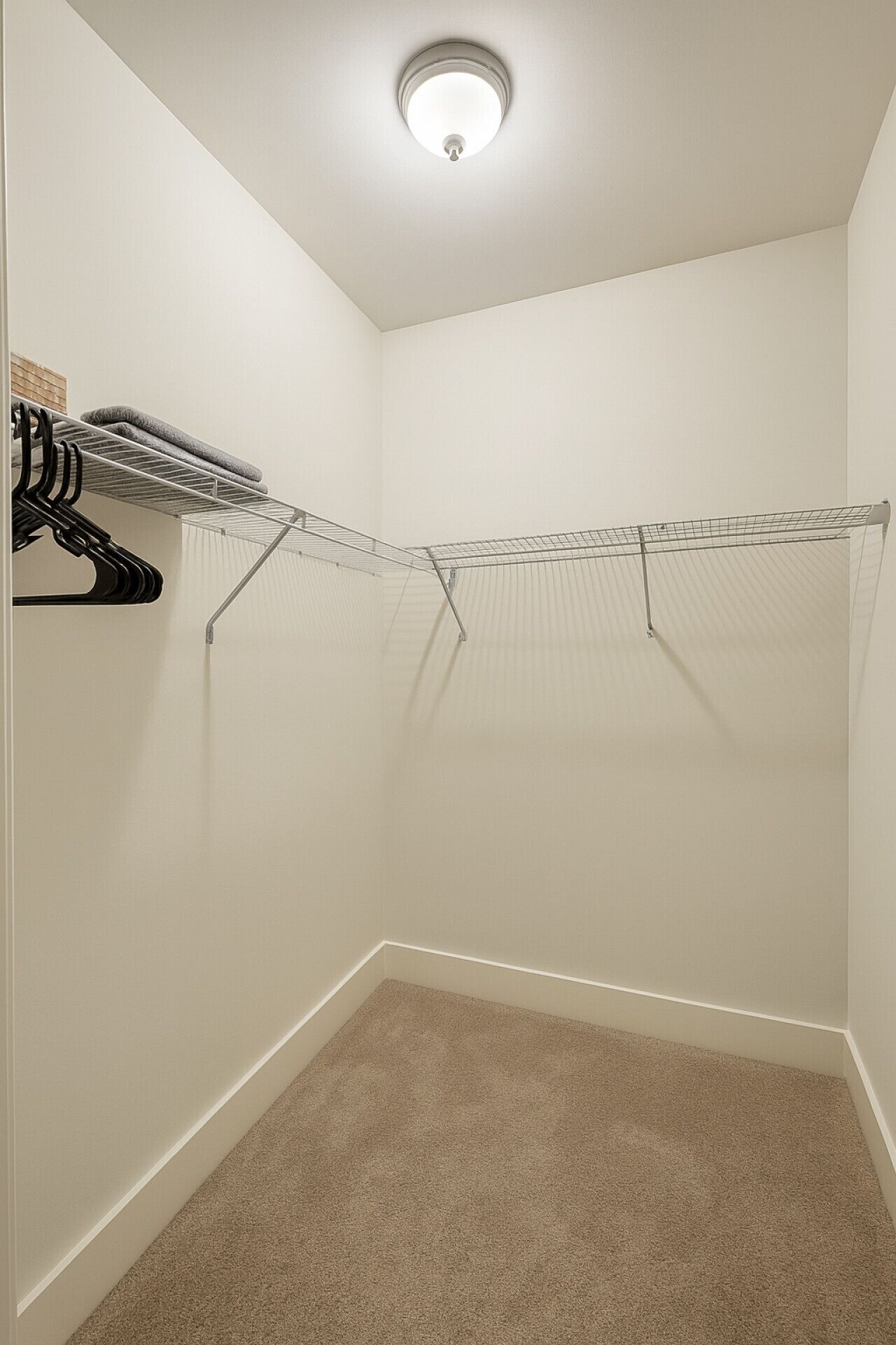 Un petit placard recouvert de moquette, avec un luminaire au plafond, un étendoir métallique et un cintre noir.
