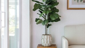 Een woonkamer met een grote plant op een houten standaard, een lijst met foto aan de muur en een schuifdeur van glas.