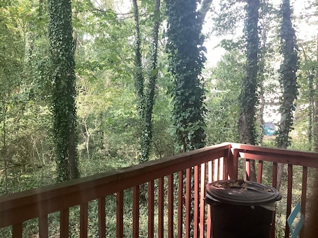 Property grounds. The Carlisle 7526 Updated remolded two story gem