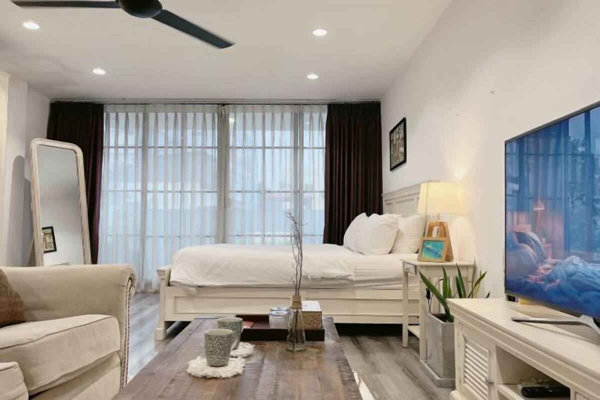 A hotel room with a bed, a TV, a ceiling fan, a window with curtains, and a plant.