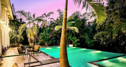 Aeraki palms