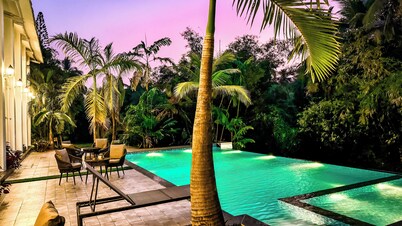 Aeraki palms
