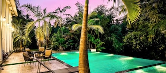 Aeraki palms