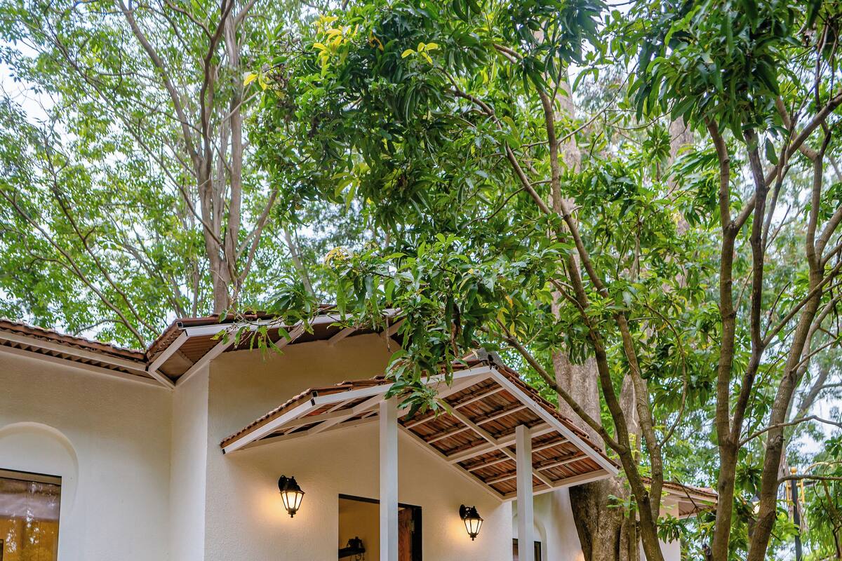 A white building with a covered porch, two wall-mounted lights, and a small garden area with potted plants.