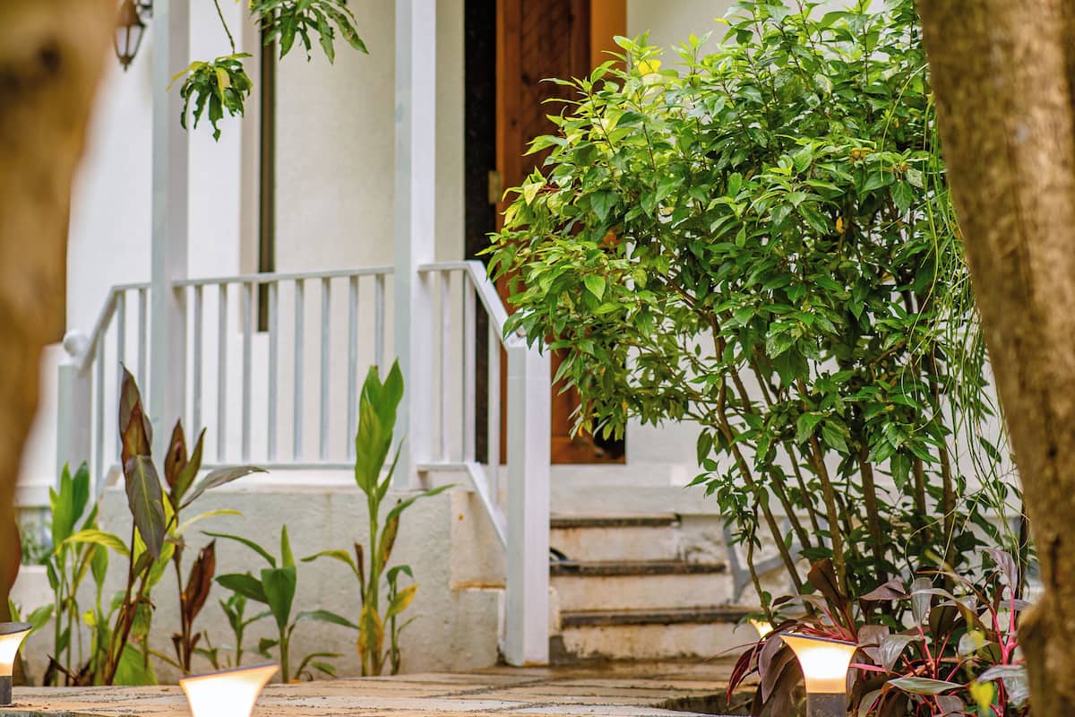 A porch with a tiled roof, white railing, and a wooden door. There are plants and candles on the porch.