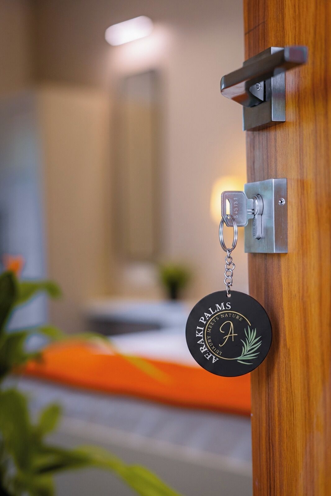 A keychain with 'AEROPALMS' and a palm tree logo, attached to a door handle.