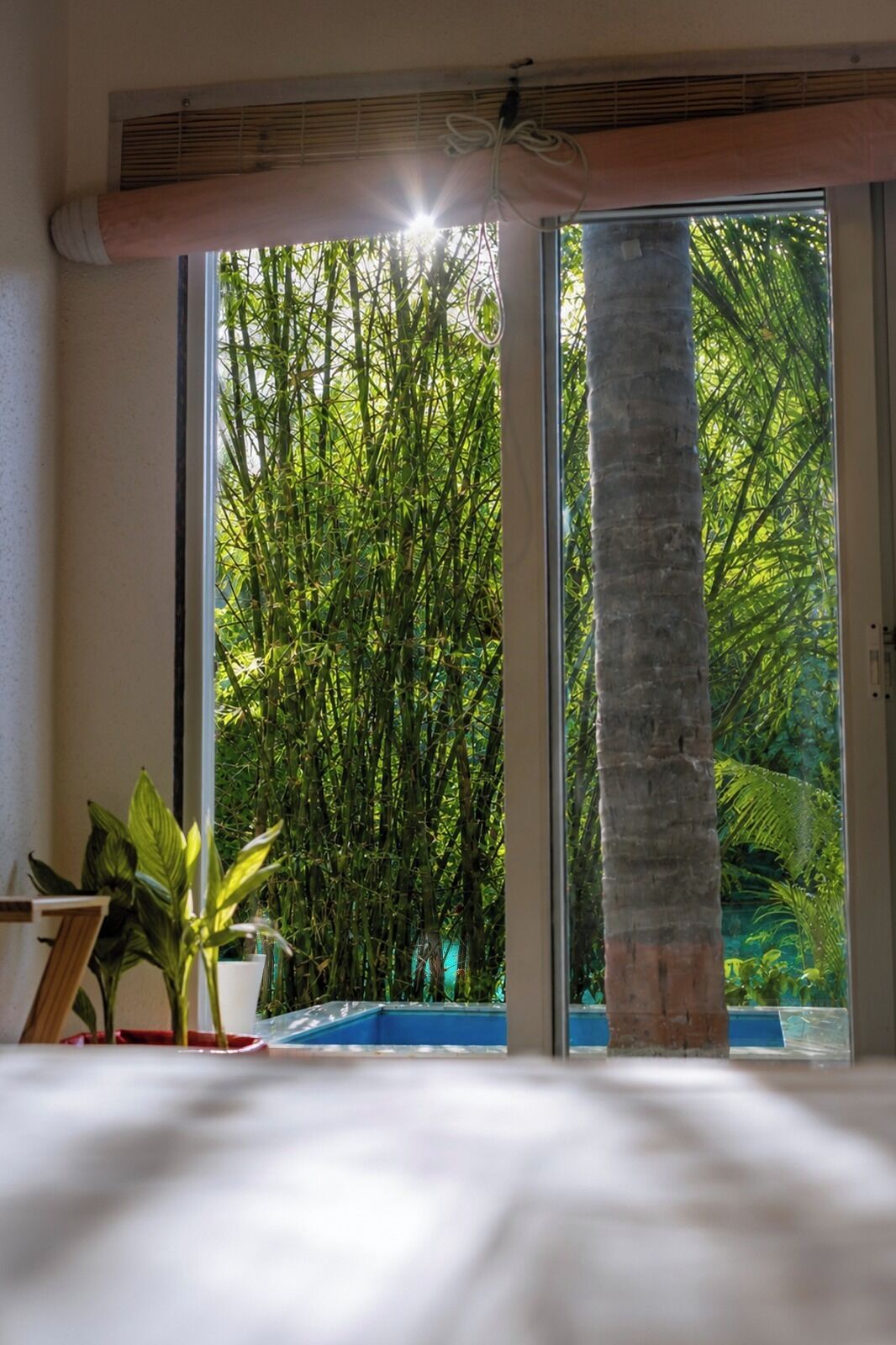 Junior Suite, Pool View | Free WiFi, bed sheets