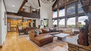 TV, fireplace, books