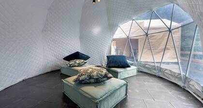 Limitedtime offer 5 off Japans first Wagyu / Ashigarakami District Kanagawa