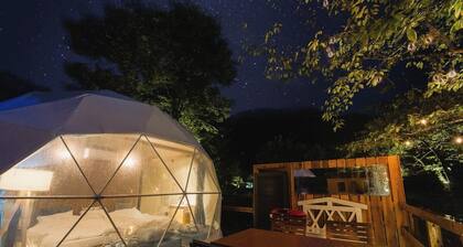 New Years Holiday Limited Texas Grill Lobster / Ashigarakami District Kanagawa