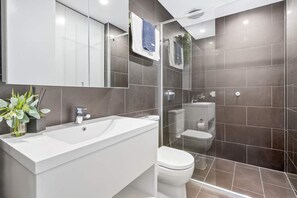 Ducha, secador de pelo y champú