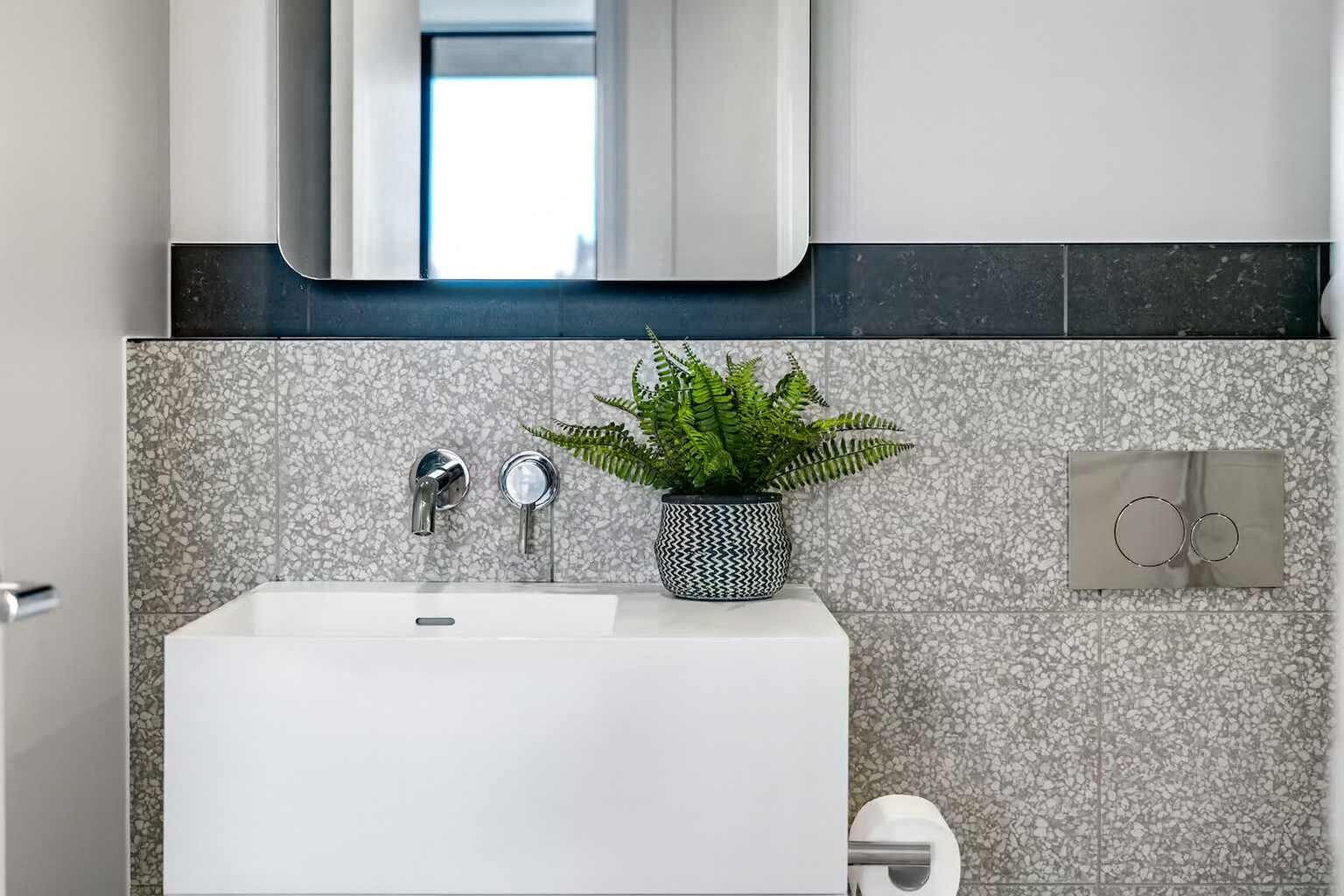 A bathroom with a white sink, two chrome faucets, a potted fern, a mirror, and a towel rack with two towels.