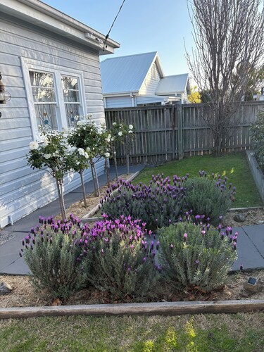 Seaside Village Cottage Charm