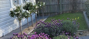 Seaside Village Cottage Charm