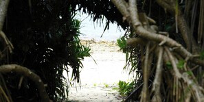 A pathway leading to a beach with dense foliage on either side. - Ocean Villa Tokunoshima (Tokunoshima)