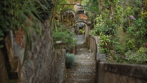 未分類圖片，第 3 張 (共 28 張)，按鈕
