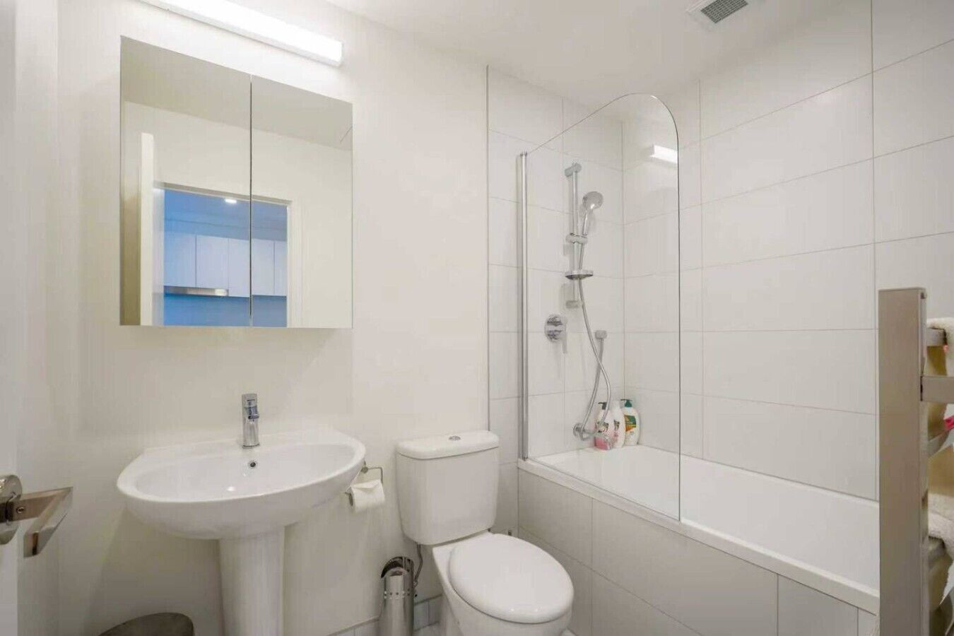 Shower, hair dryer