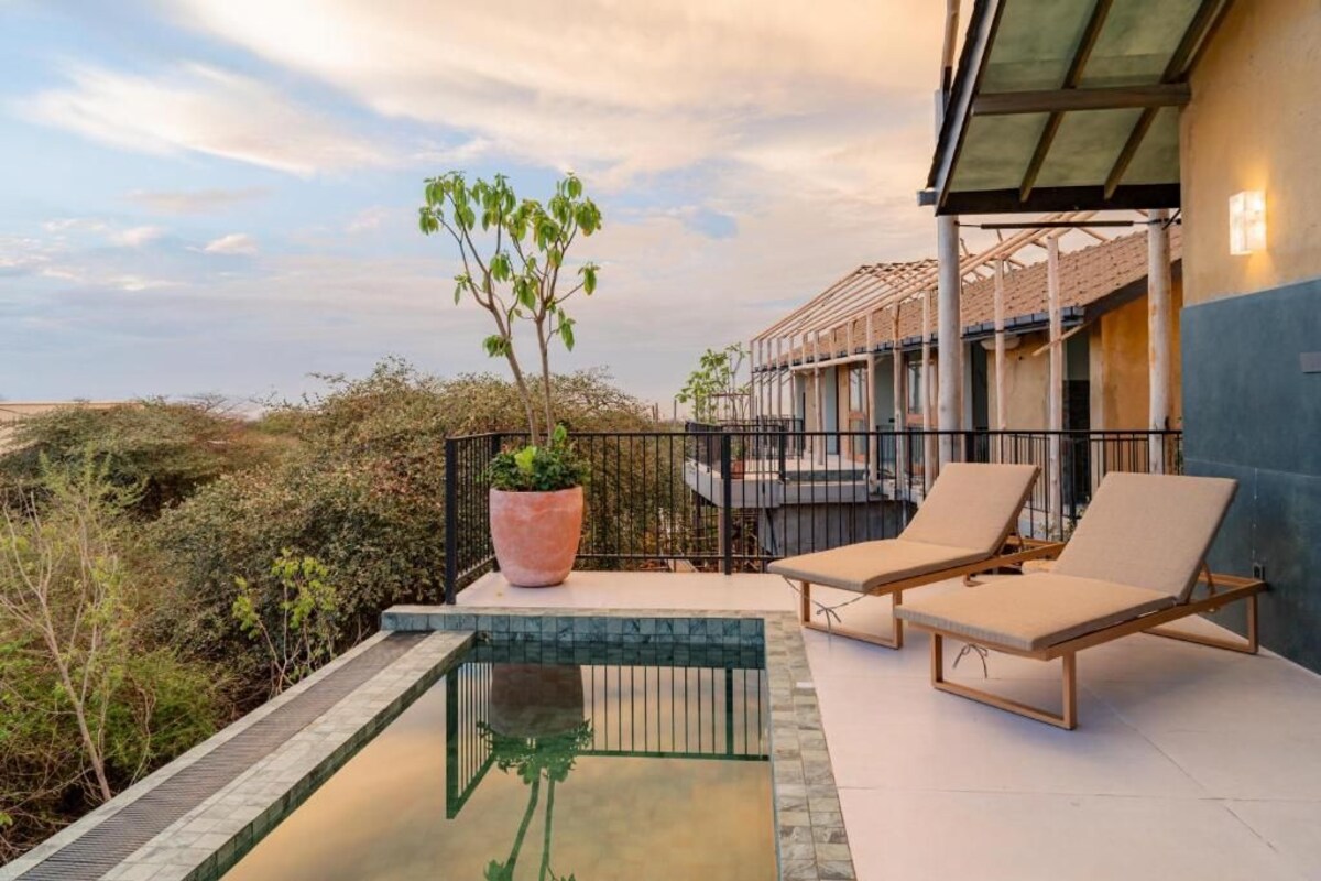 A balcony with two lounge chairs, a small pool, and a large potted plant.